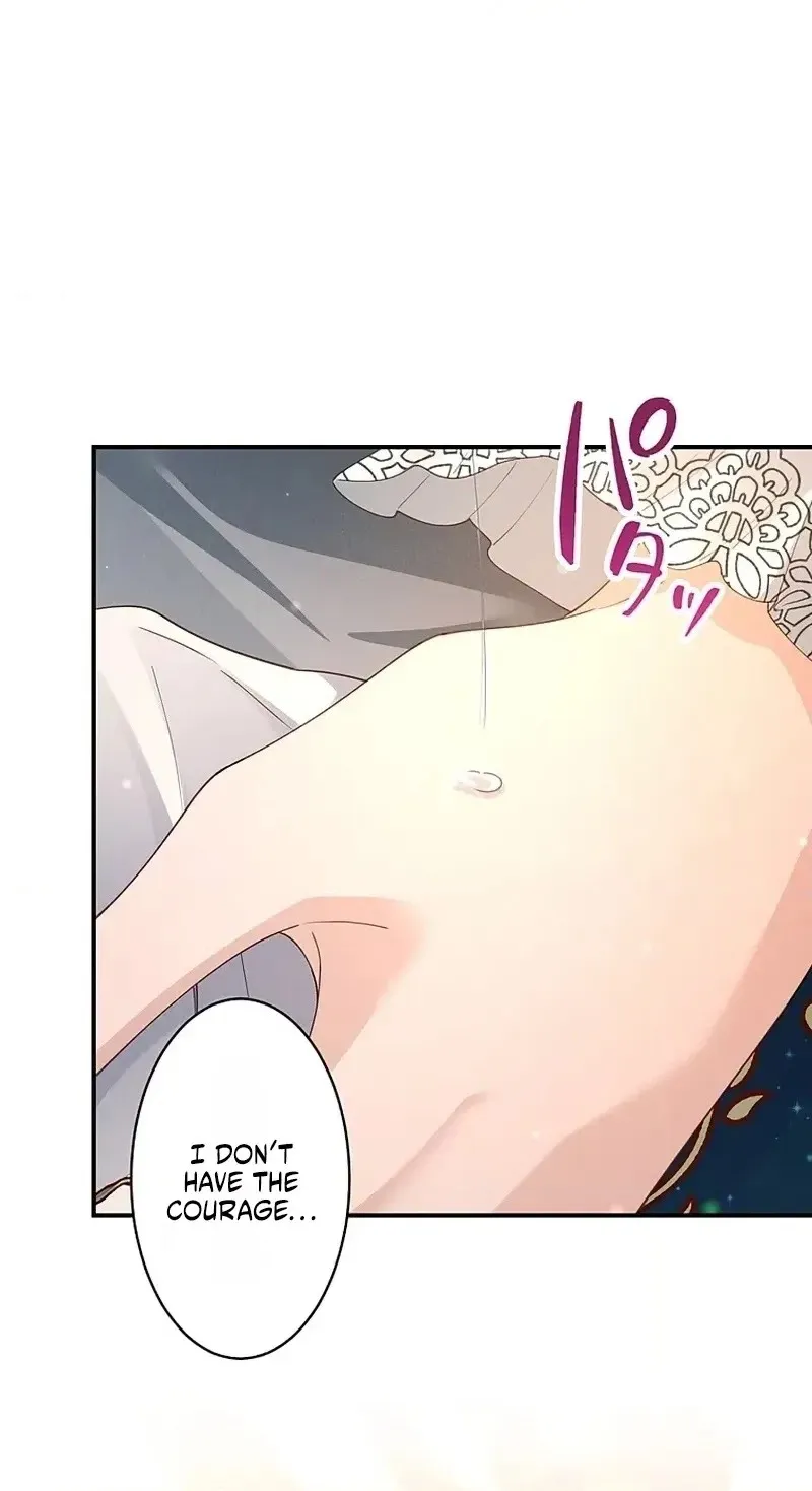 fe182236557e