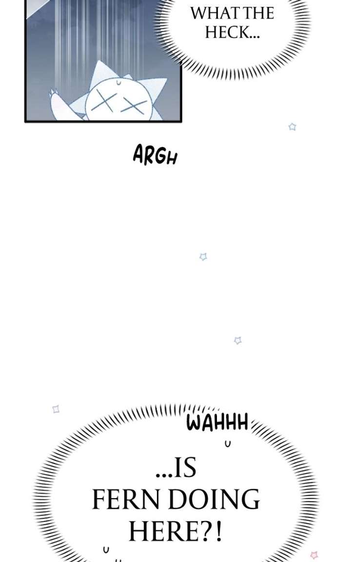 ch 23 14