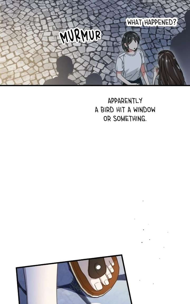 ch 23 17