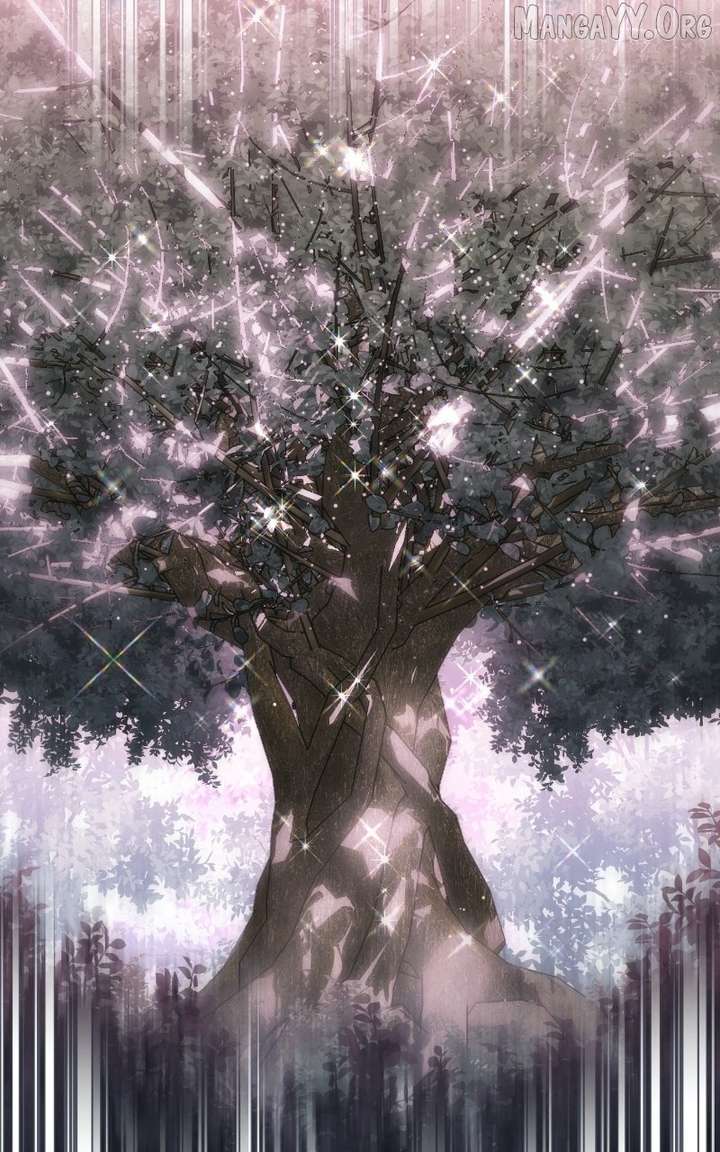 ch 24 104