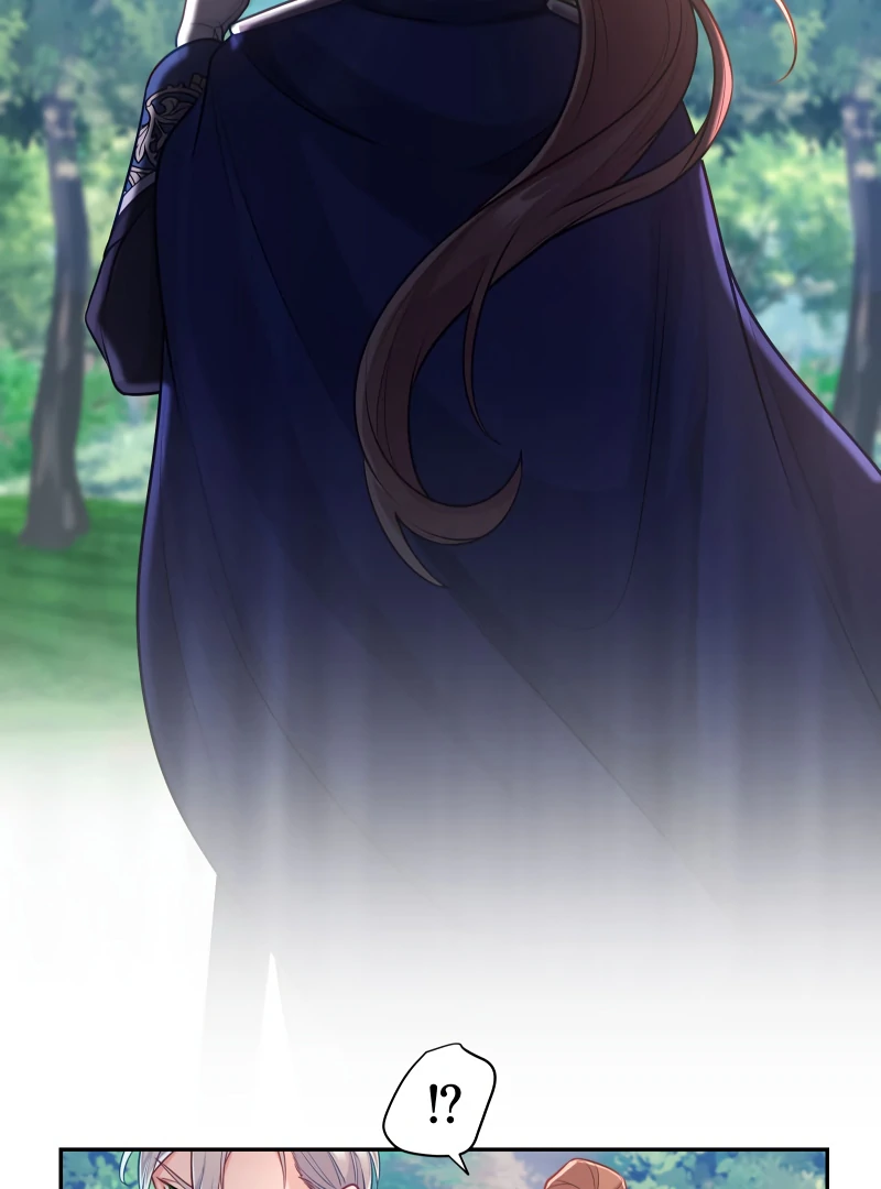 Disgraced Wife? This Beloved Genius Mage Will Secure Her Divorce! Chapter 27 489 023