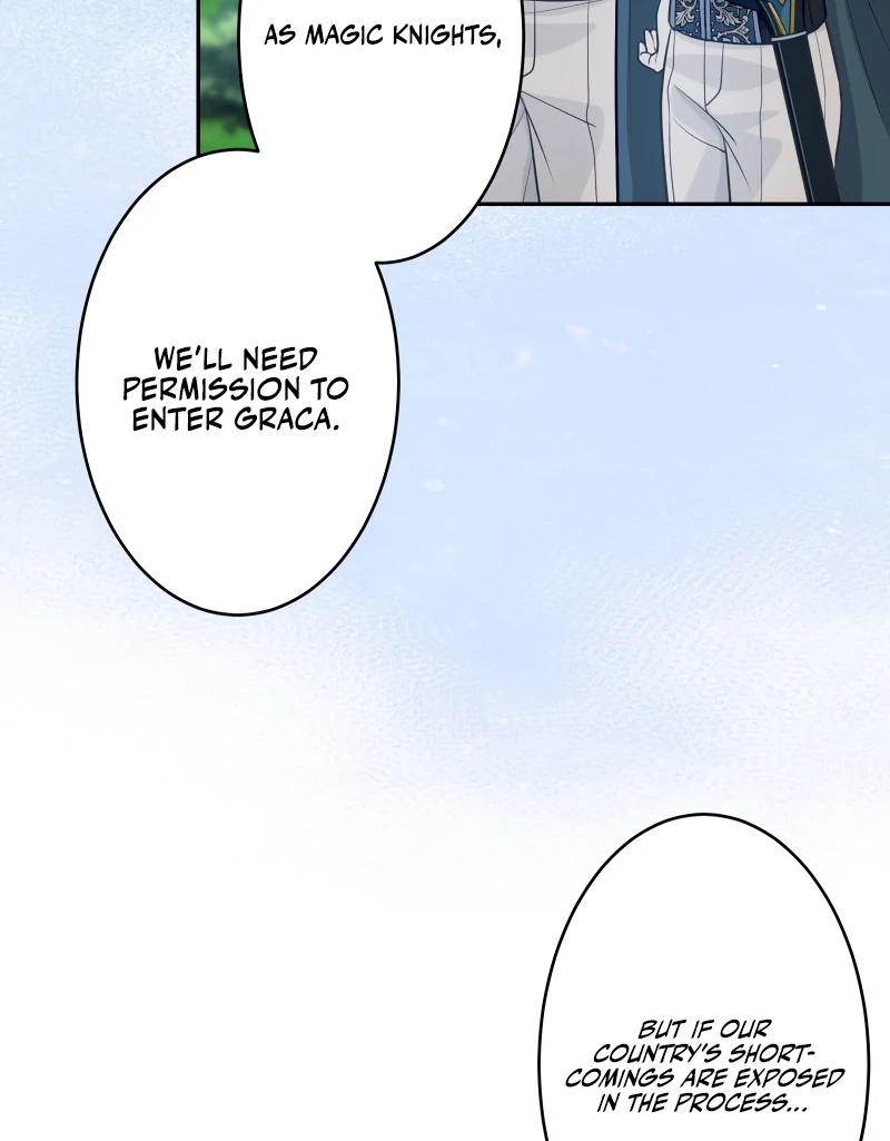 Disgraced Wife? This Beloved Genius Mage Will Secure Her Divorce! Chapter 27 513 047