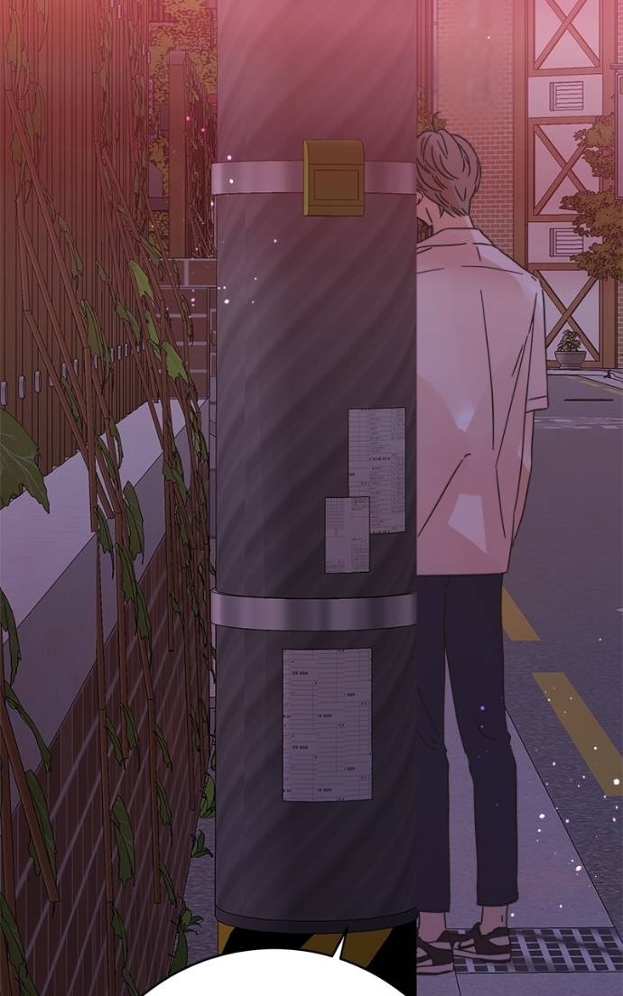 81