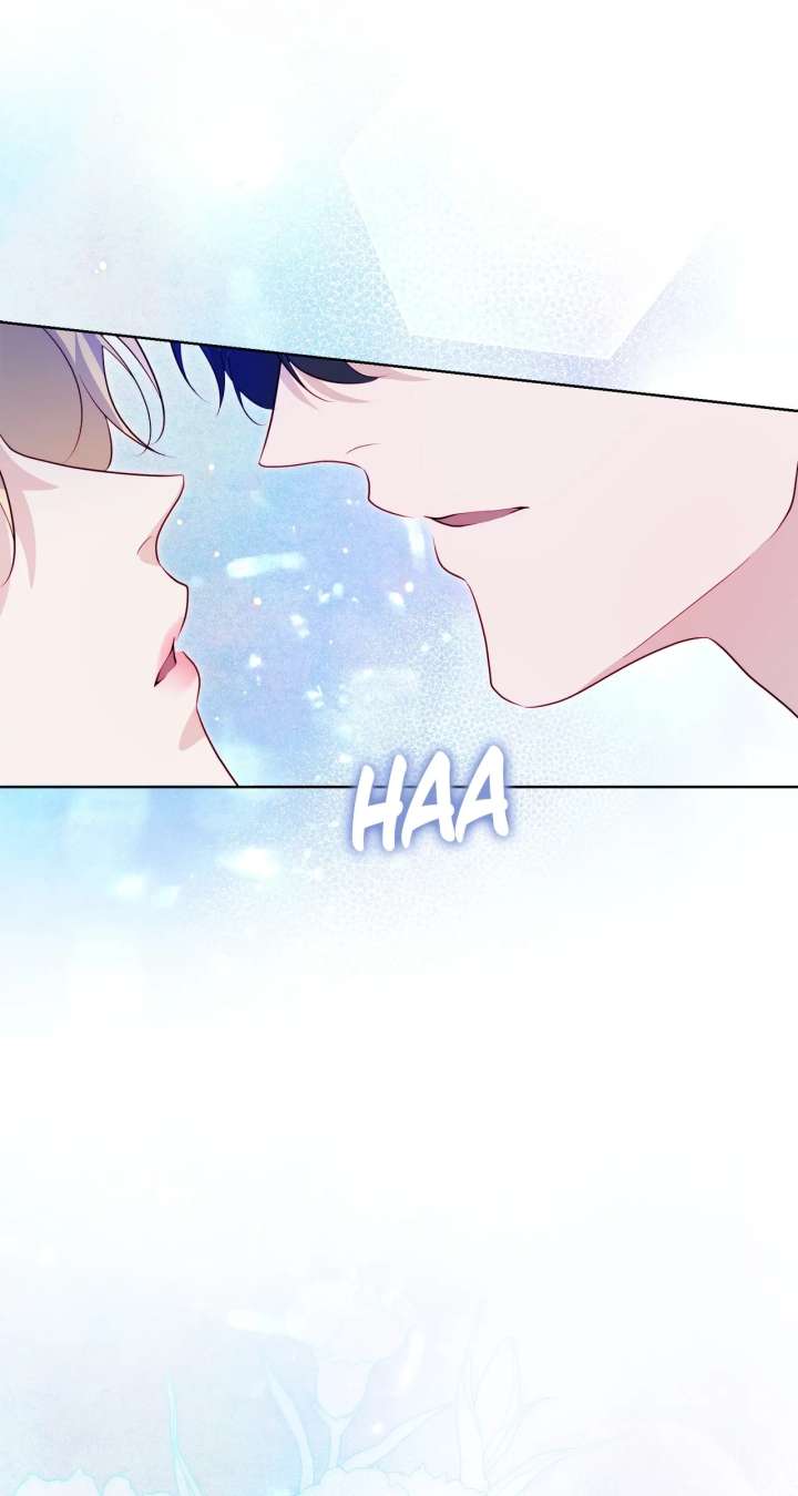 ch 36 44