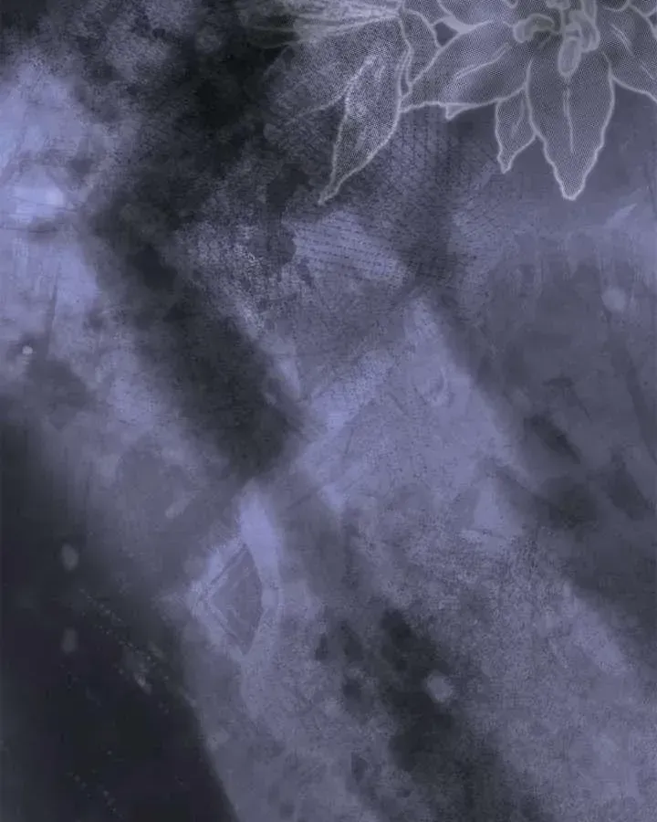 bc2261413771