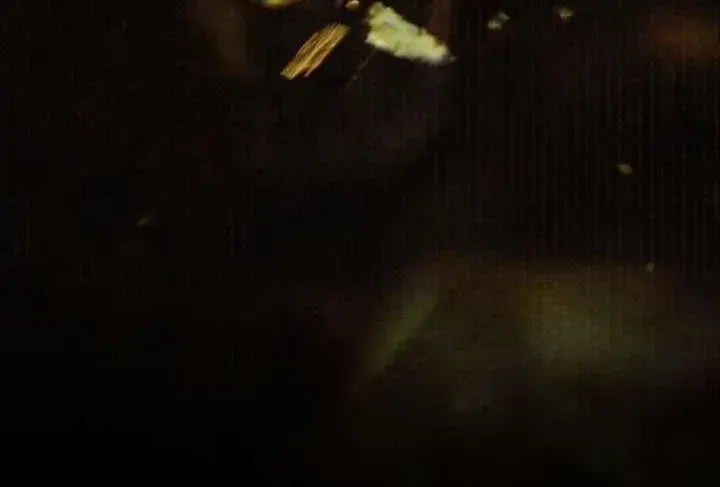 4546611a0495