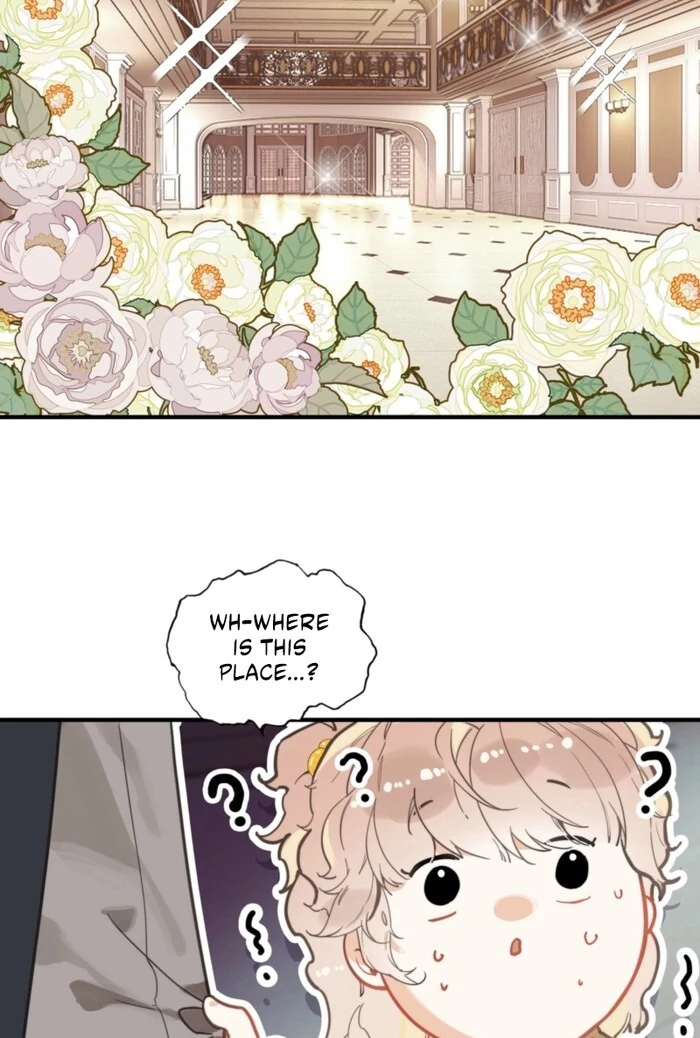 After Becoming a Dumpling, the Villain Family All Wants to Kill Me! Chapter 1 272 16