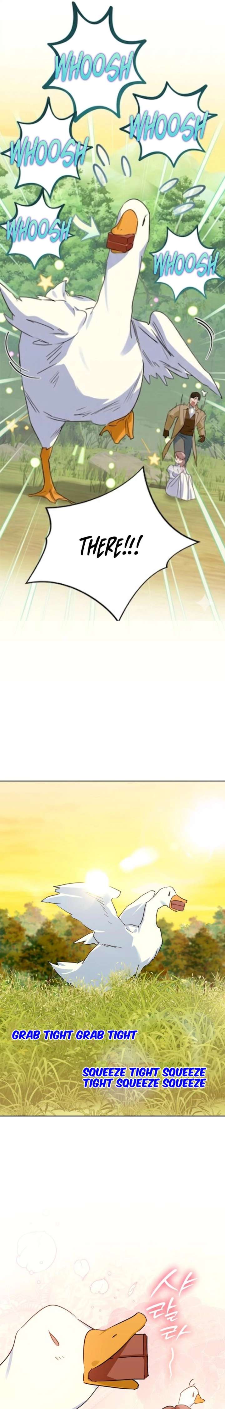ch 44 8