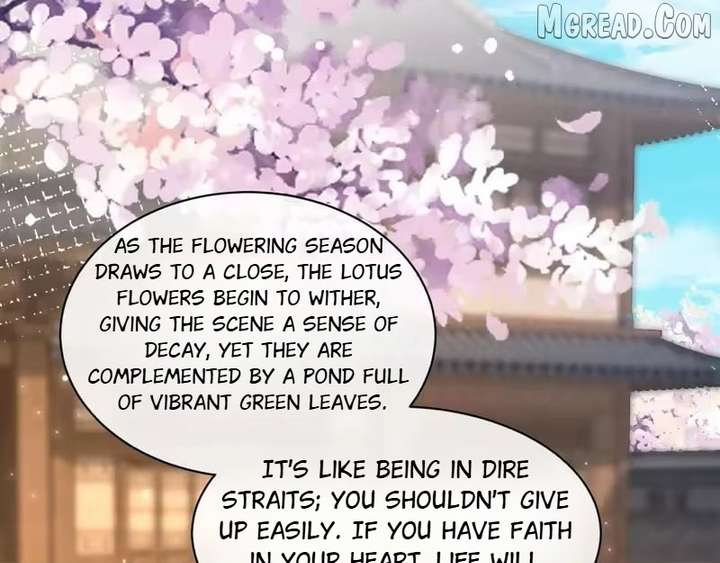 On Our Wedding Night, I Got Pregnant with the Chief Warden’s Child Chapter 41 402 ch 41 84