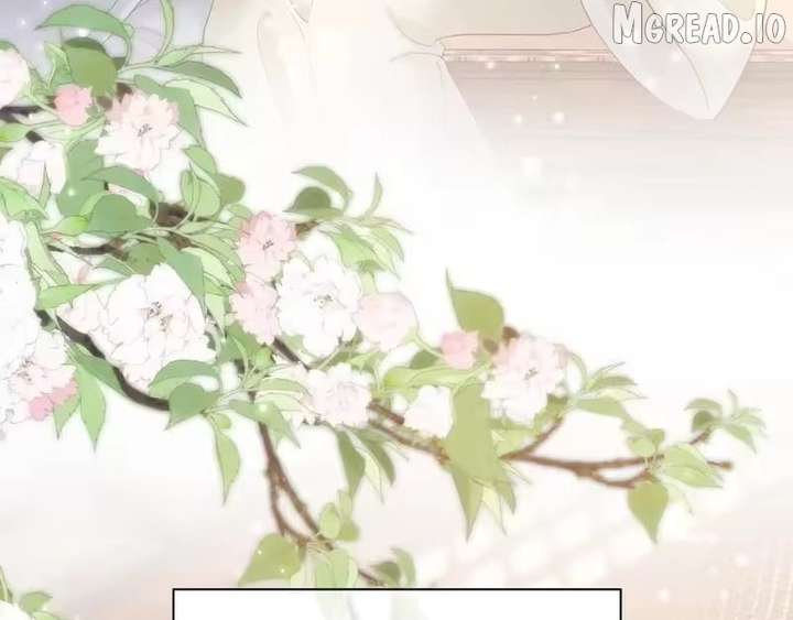 ch 80 11