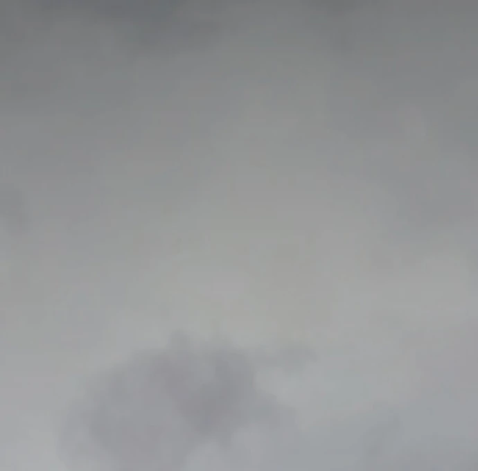 020