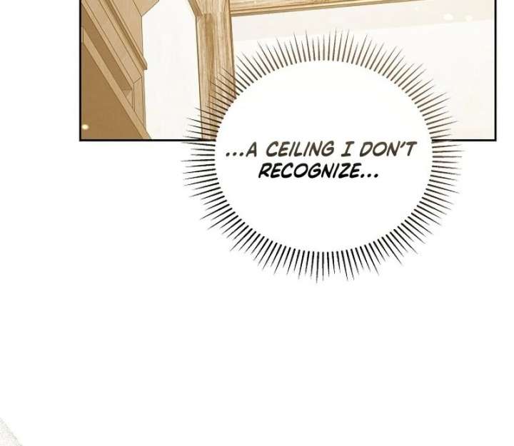 The Reason Why That Villainess Picked Up A Sword Chapter 33 537 008