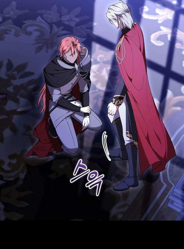 The Reason Why That Villainess Picked Up A Sword Chapter 40 496 087