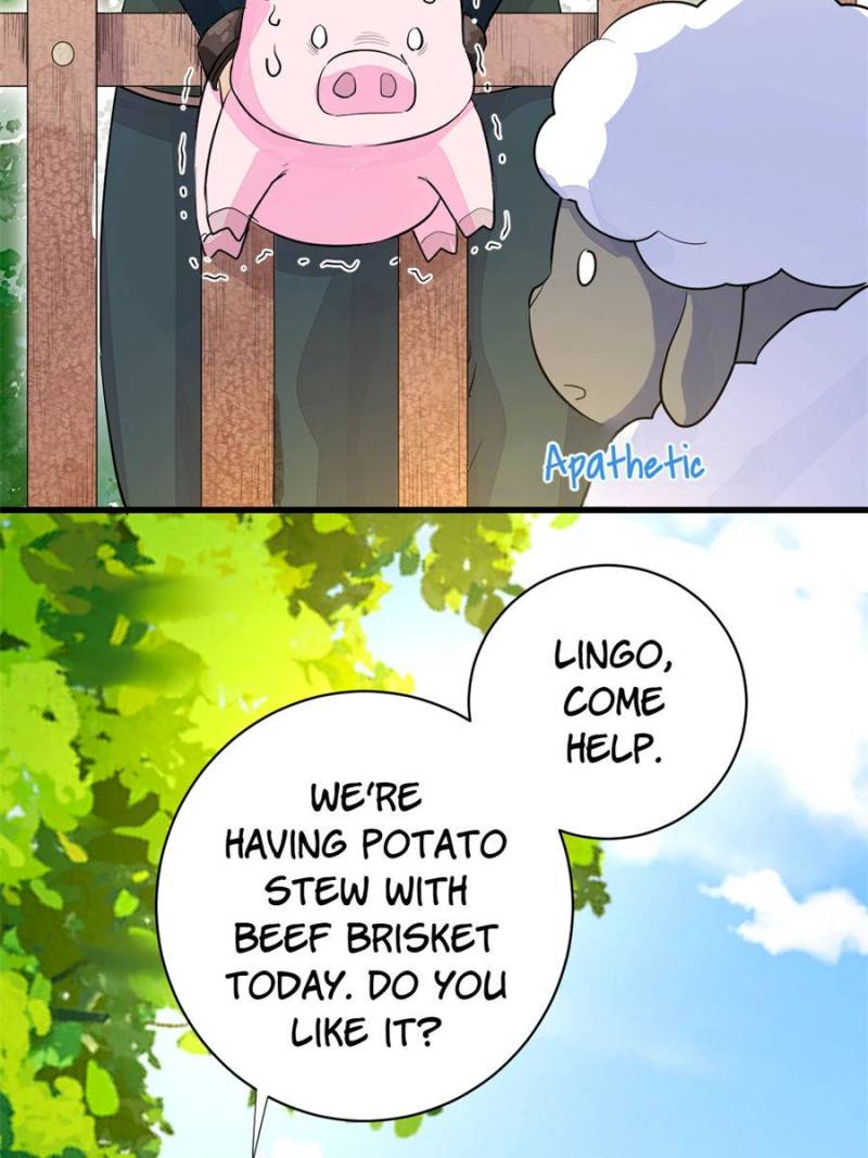 43