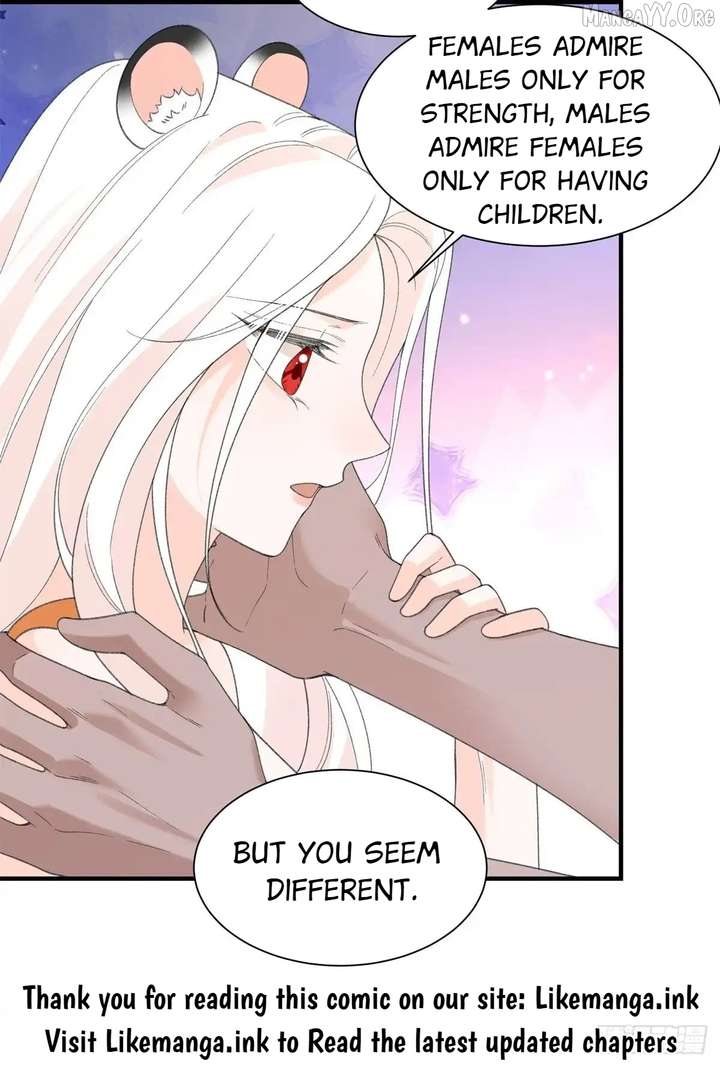 Taming the Beasts With Multi-Pregnancy System Chapter 25 111 08