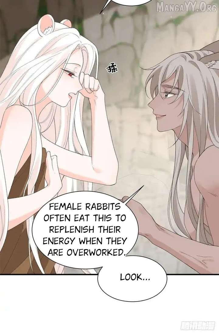 Taming the Beasts With Multi-Pregnancy System Chapter 27 113 22