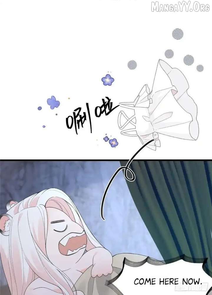 ch 37 15