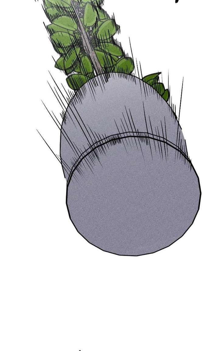 ch 36 170