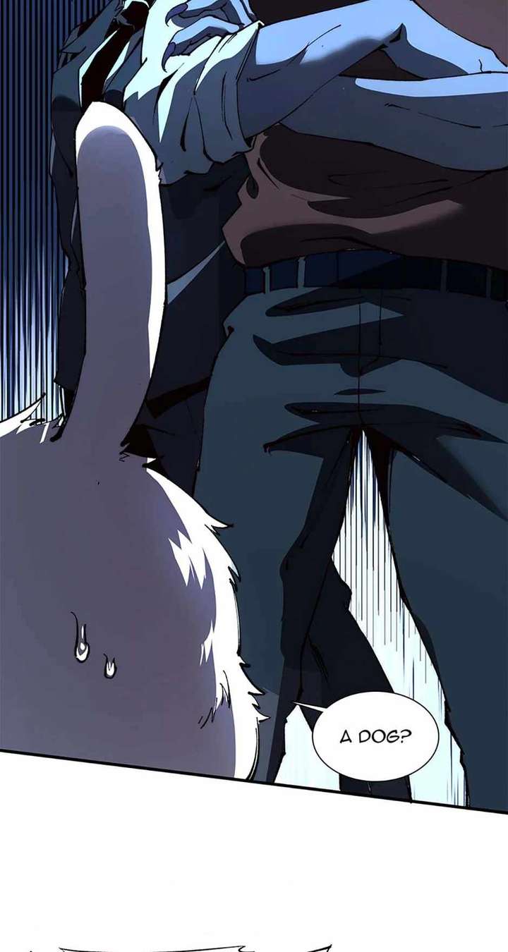 51