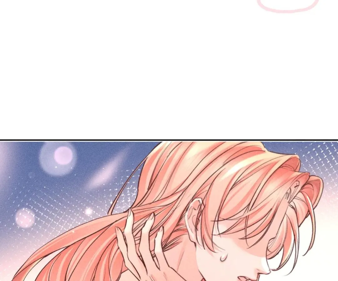 9558803e611e