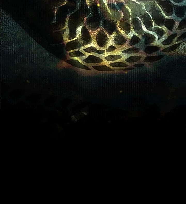 161