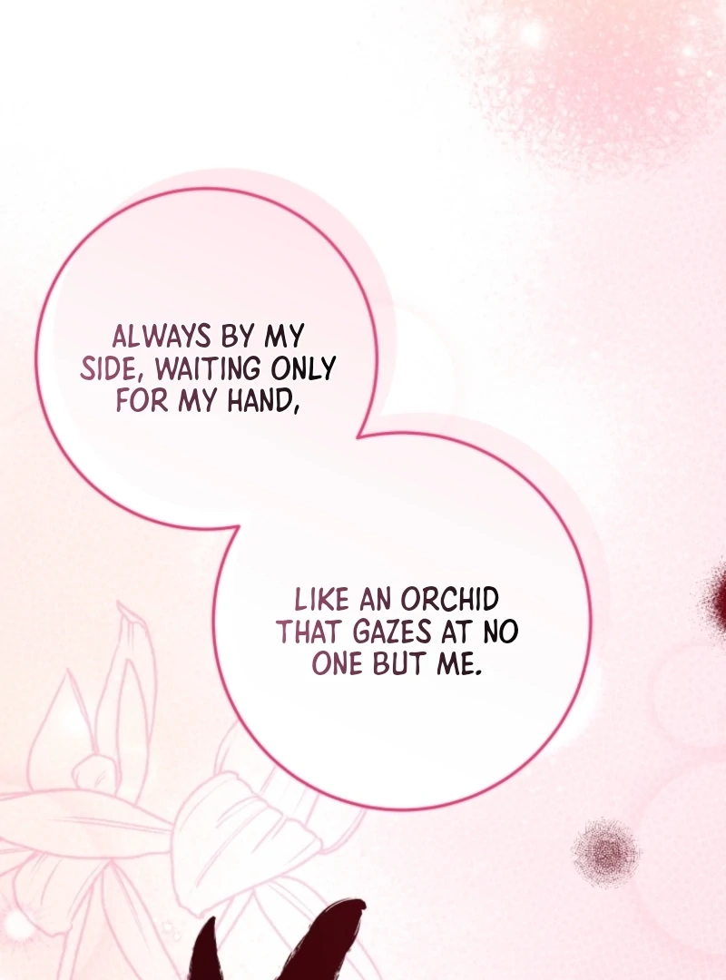 I Was Reincarnated as the Spoiled Baby Empress Chapter 11 504 061