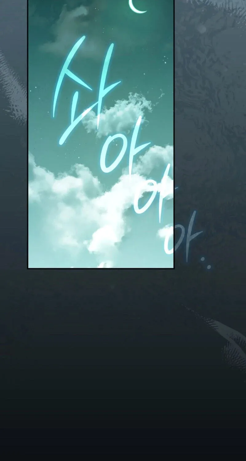 112c6e531c49