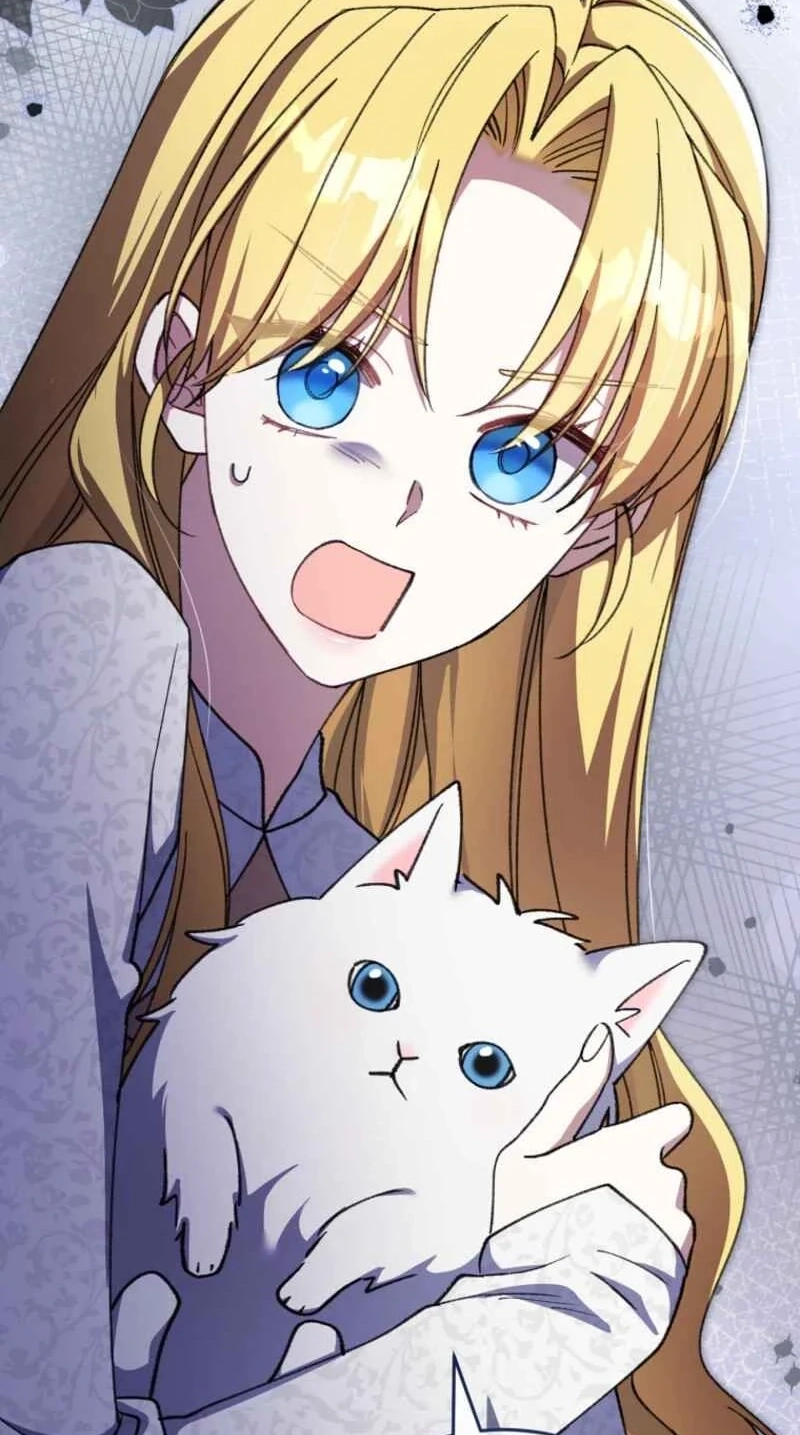 4c02f6caf6ed