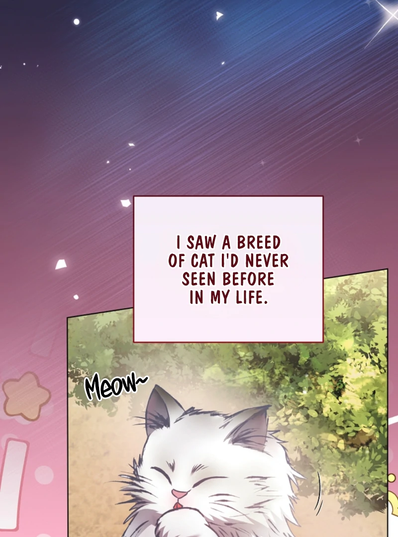 The Black-Haired Dad Is Not Reaping Chapter 25 387 011