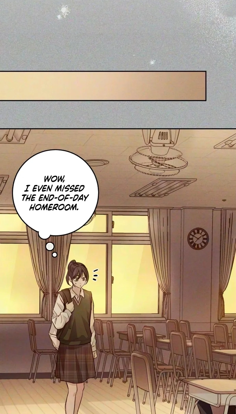 bd06e04fe46f