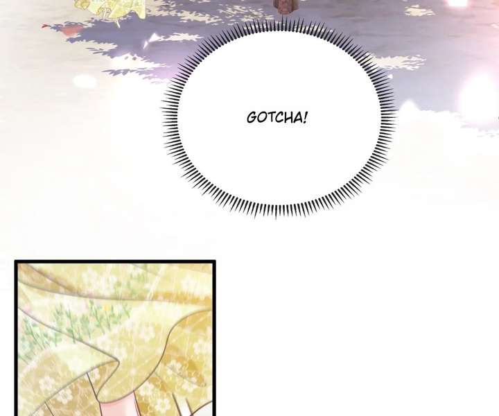 ch 51 8