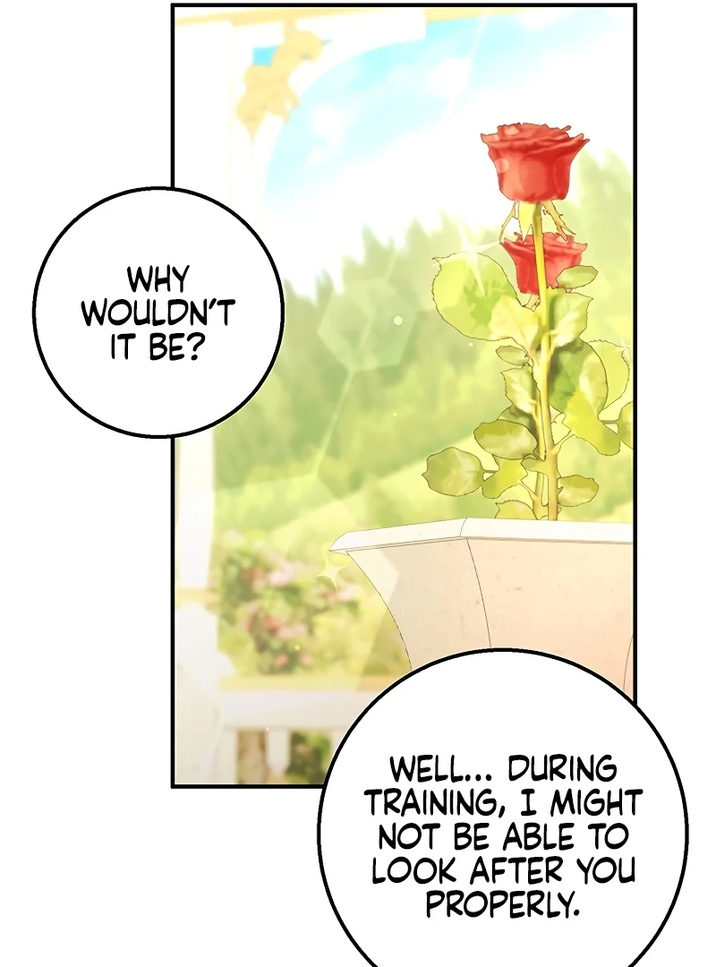 Sub-Male Lead, You Said It Was A Contract Marriage? Chapter 14 345 029