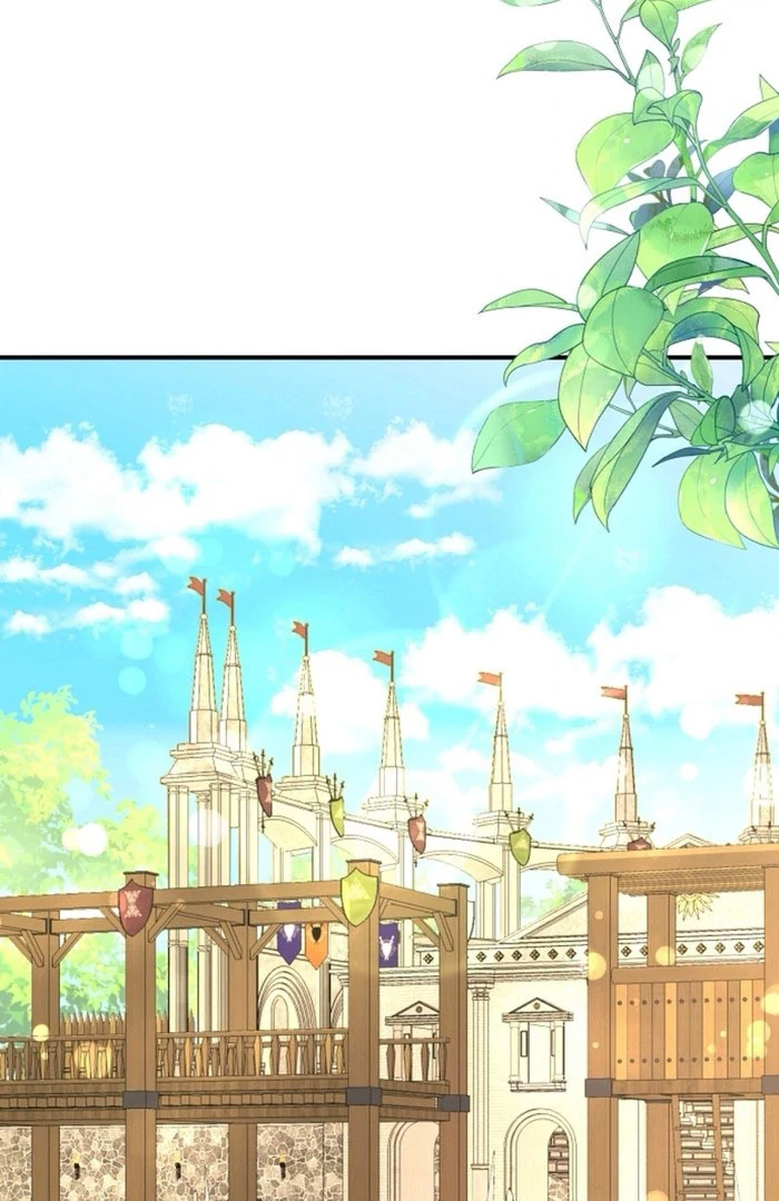 Sub-Male Lead, You Said It Was A Contract Marriage? Chapter 17 305 04