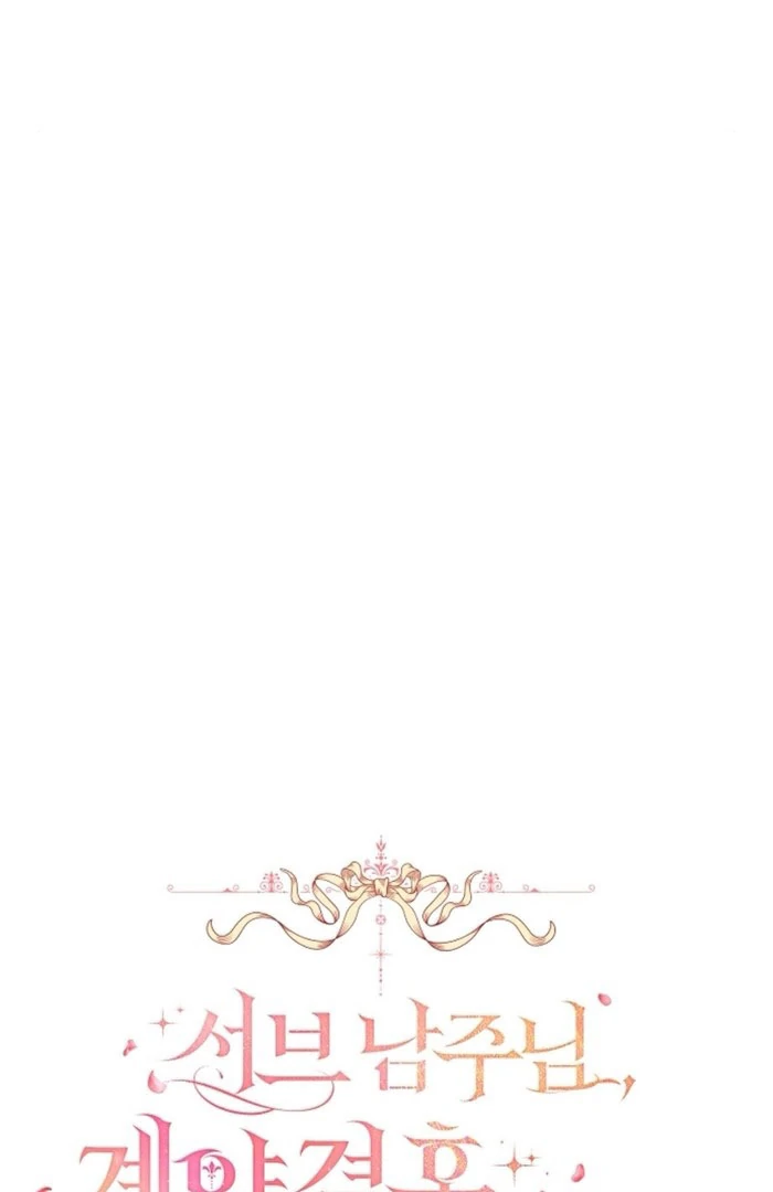 Sub-Male Lead, You Said It Was A Contract Marriage? Chapter 17 327 26