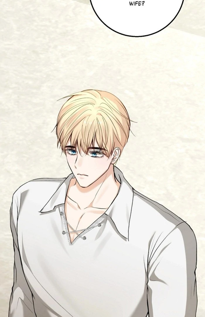 Sub-Male Lead, You Said It Was A Contract Marriage? Chapter 17 382 81
