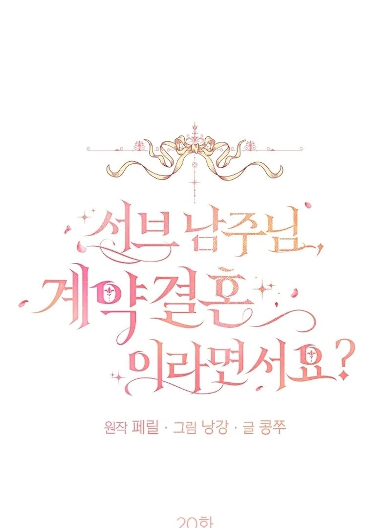 Sub-Male Lead, You Said It Was A Contract Marriage? Chapter 20 383 022