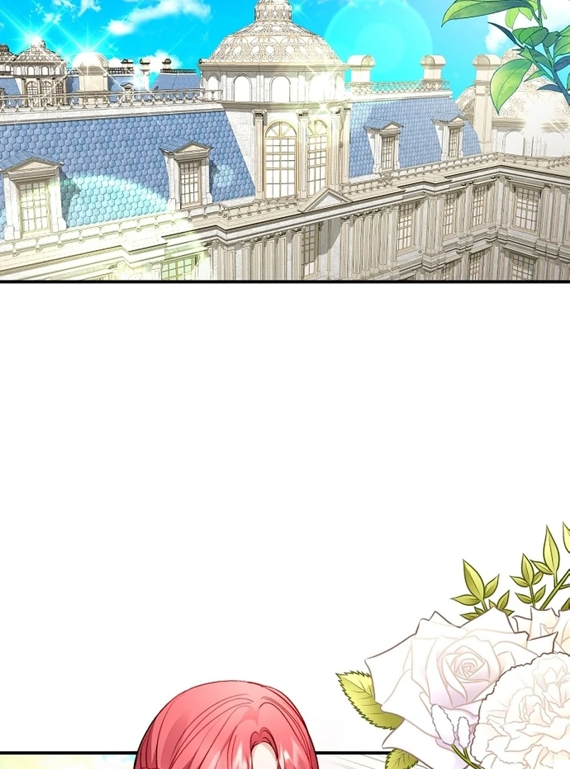 Sub-Male Lead, You Said It Was A Contract Marriage? Chapter 20 385 024