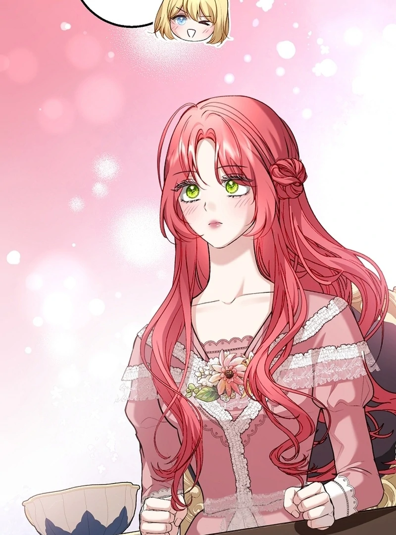Sub-Male Lead, You Said It Was A Contract Marriage? Chapter 20 442 081