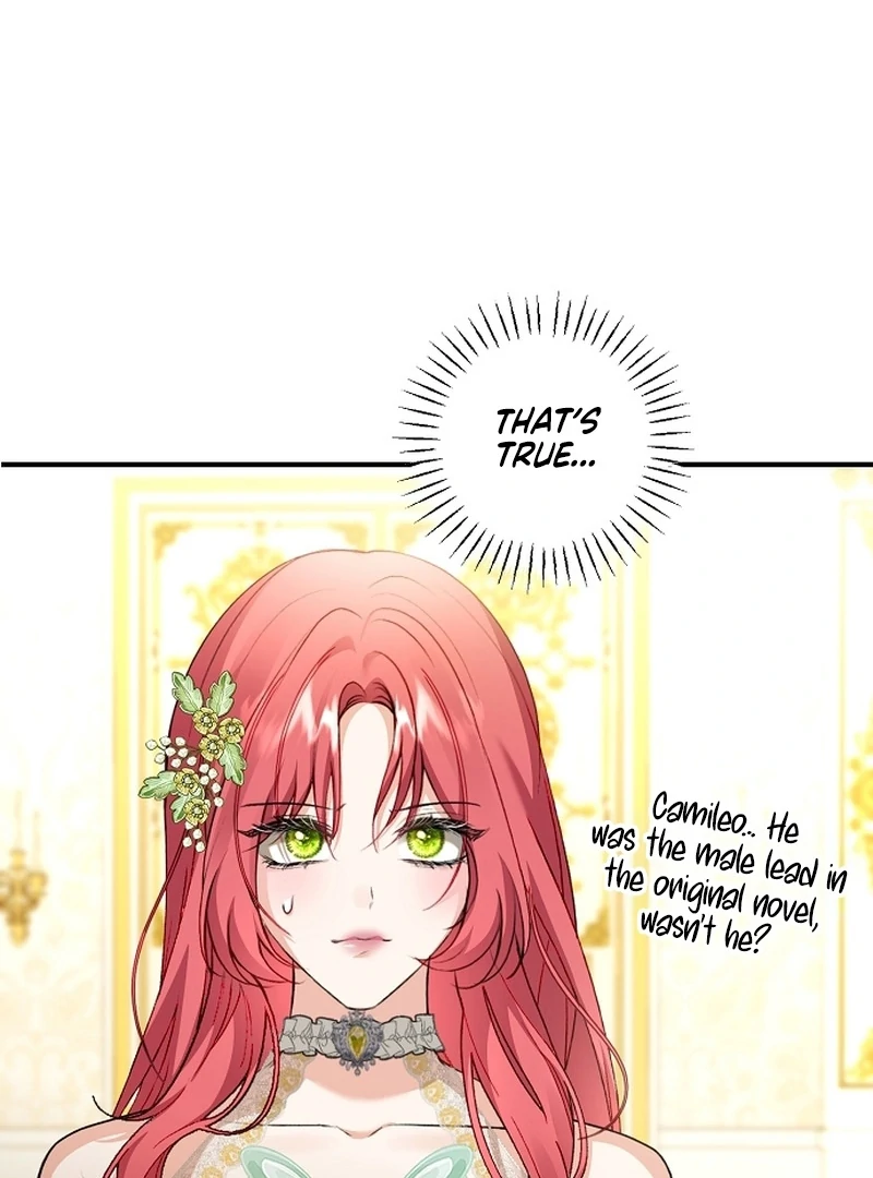 Sub-Male Lead, You Said It Was A Contract Marriage? Chapter 25 381 041