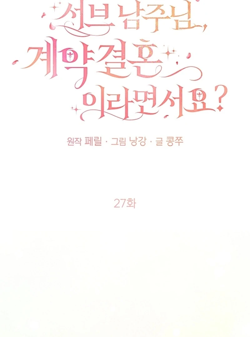 Sub-Male Lead, You Said It Was A Contract Marriage? Chapter 27 388 045