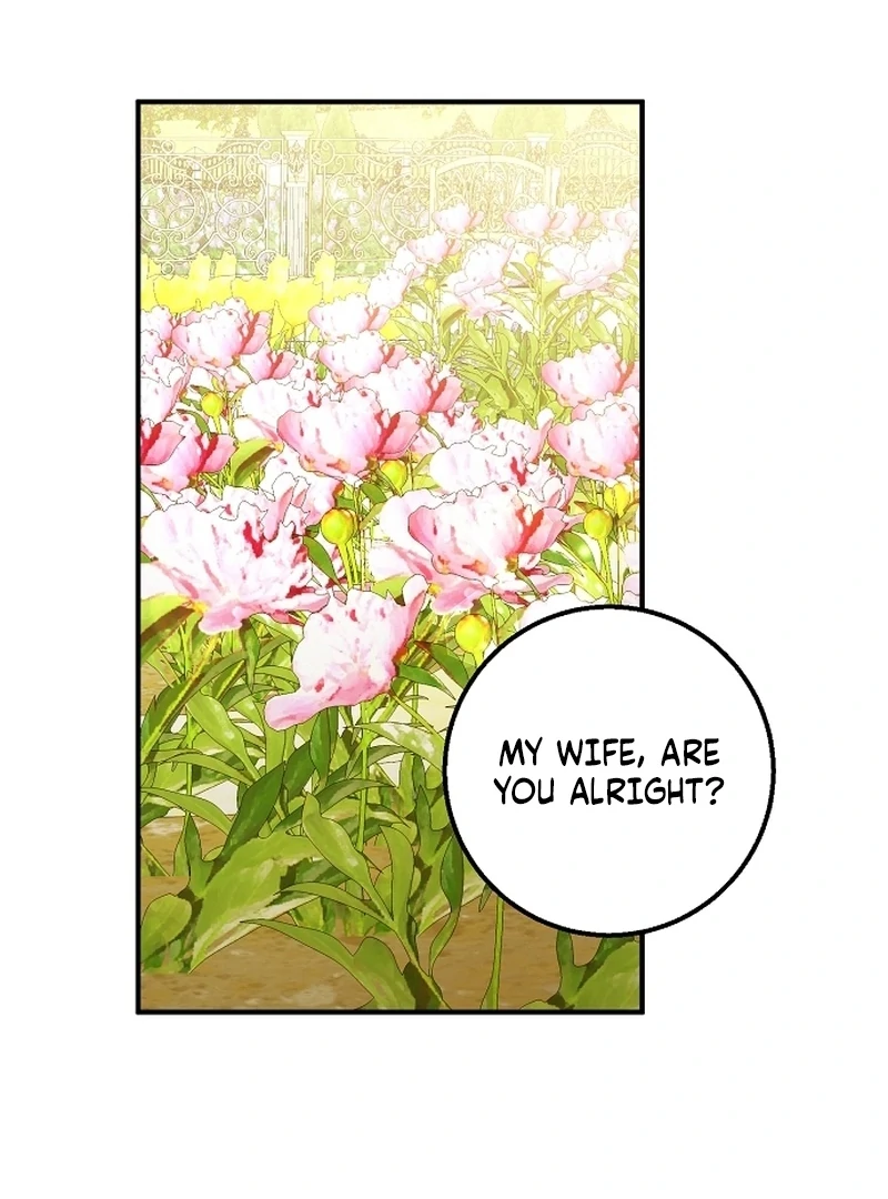 Sub-Male Lead, You Said It Was A Contract Marriage? Chapter 28 447 092