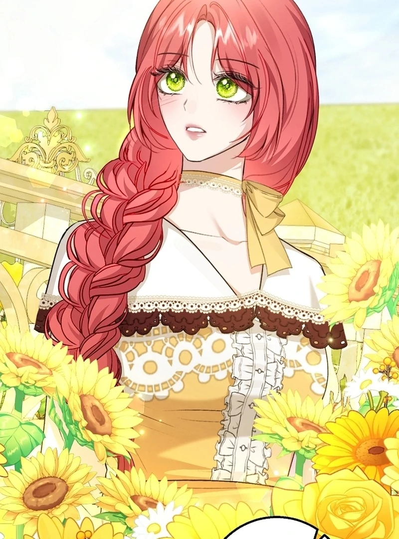 Sub-Male Lead, You Said It Was A Contract Marriage? Chapter 28 464 109