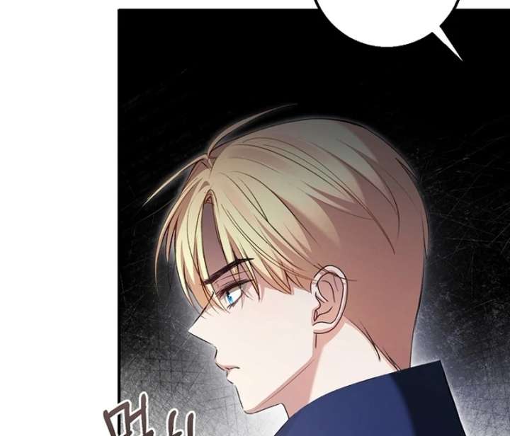 Sub-Male Lead, You Said It Was A Contract Marriage? Chapter 33 319 33