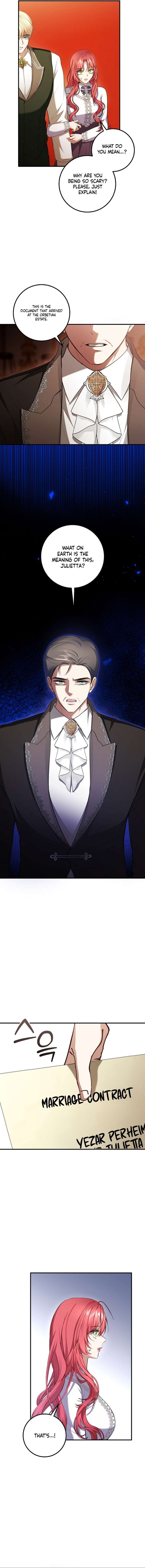 Sub-Male Lead, You Said It Was A Contract Marriage? Chapter 45 45 ch 45 9
