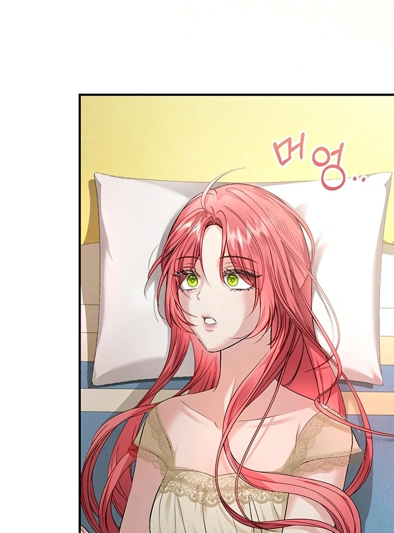 Sub-Male Lead, You Said It Was A Contract Marriage? Chapter 6 424 099