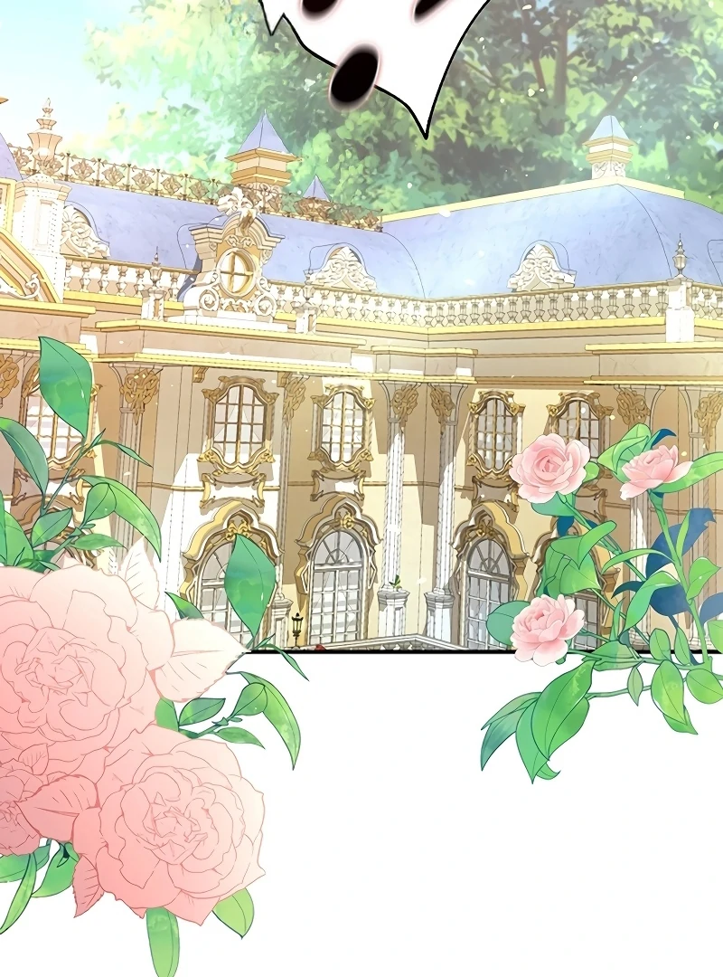 Sub-Male Lead, You Said It Was A Contract Marriage? Chapter 6 428 103