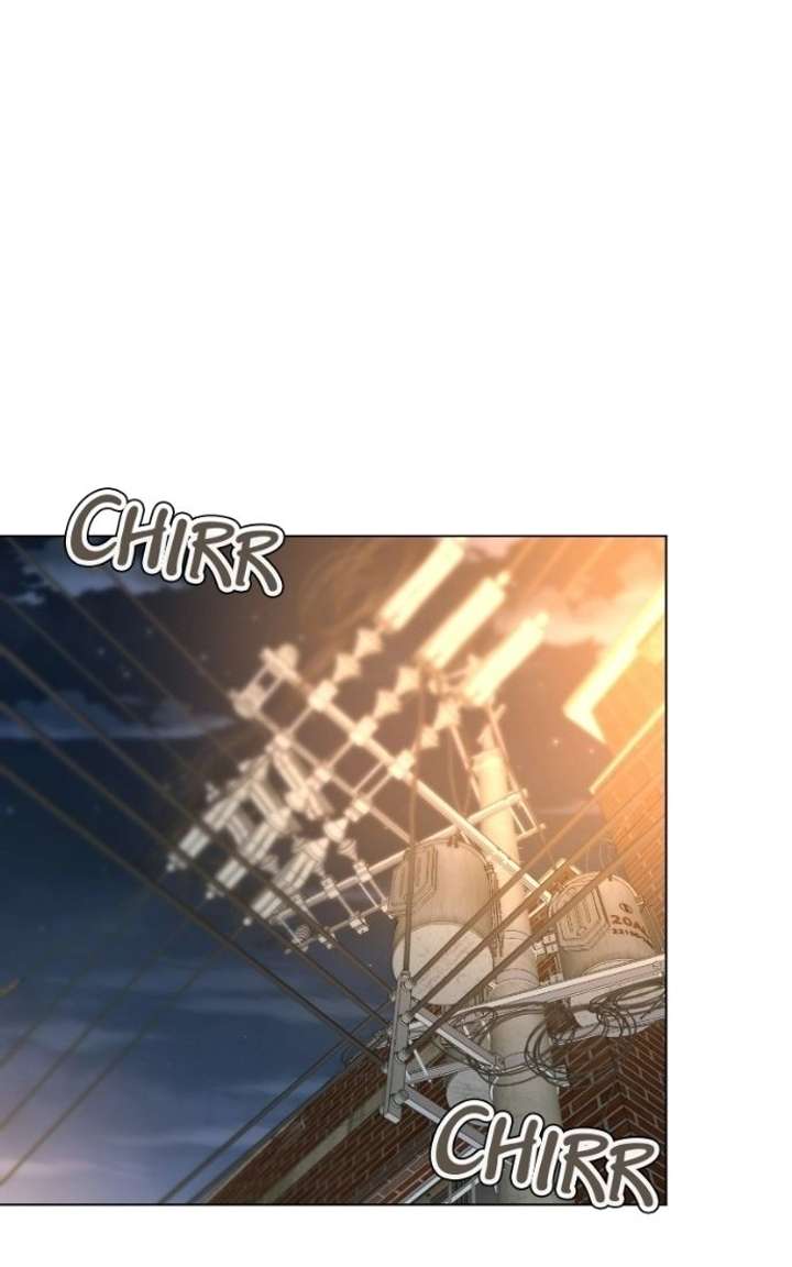 ch 24 26