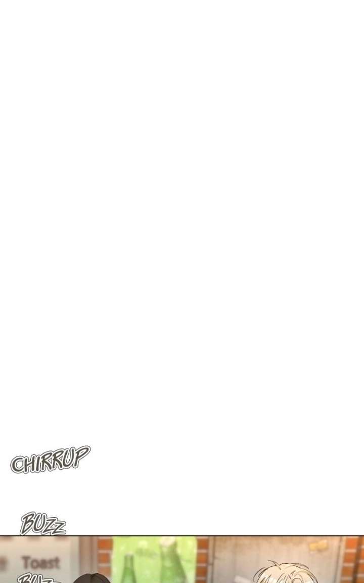 ch 24 32