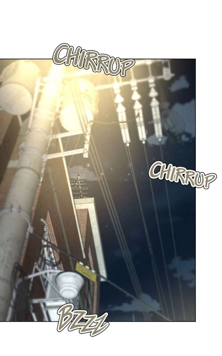 ch 27 98