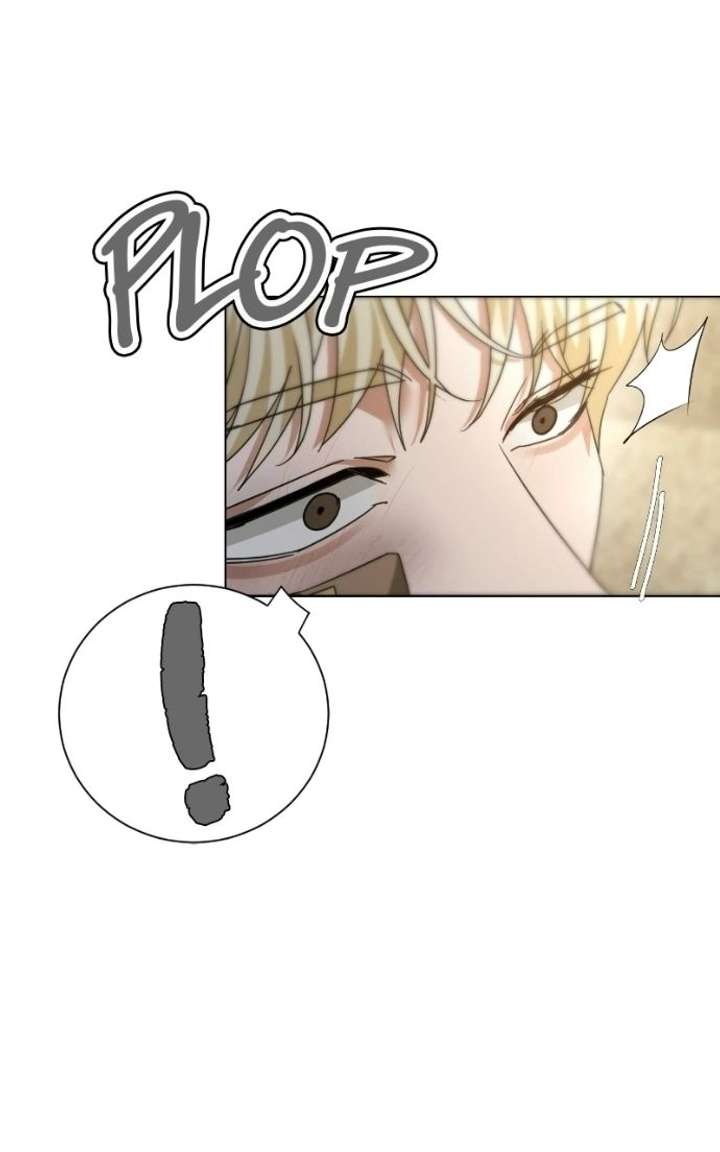 ch 29 97